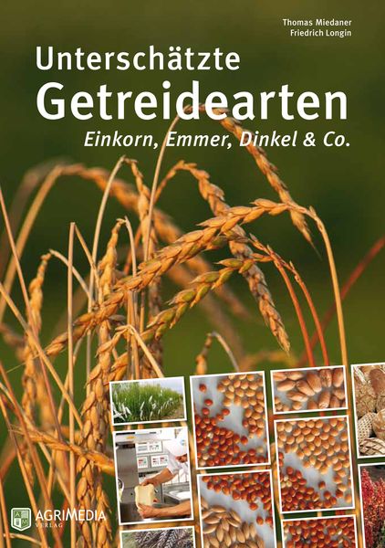 Unterschätzte Gedreidearten - Einkorn, Emmer, Dinkel & Co